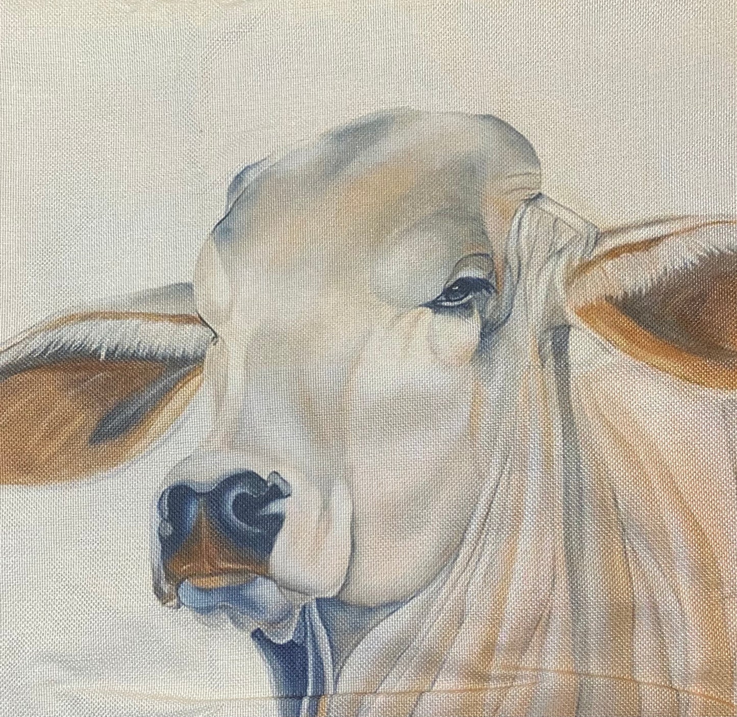 Cow pillow case