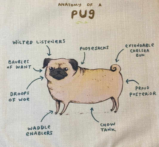 Dog pillow case