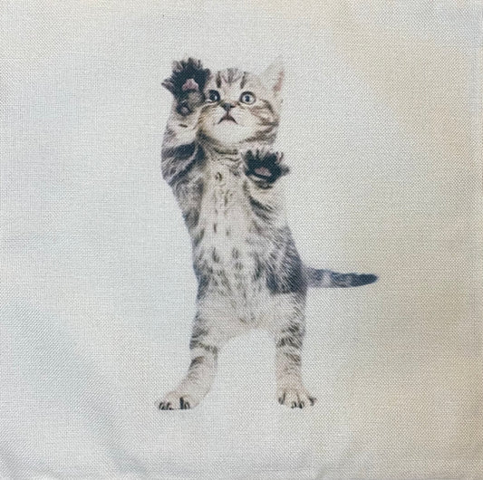 Kitten pillow case