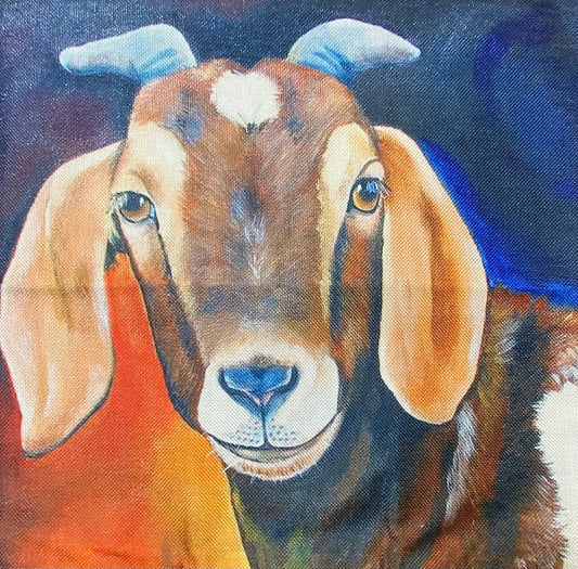 Goat pillow case