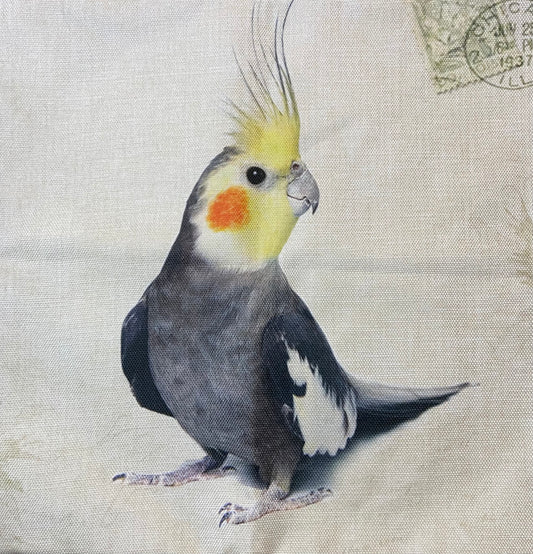 Bird pillow case