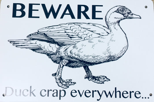 BEWARE Duck crap everywhere...