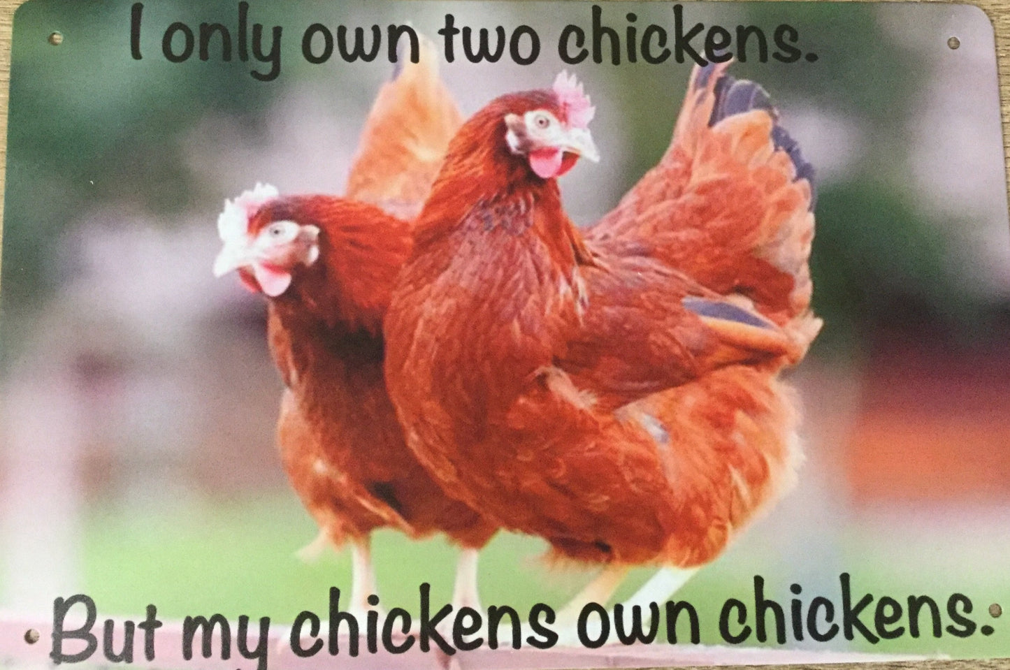 My Chickens have Chickens