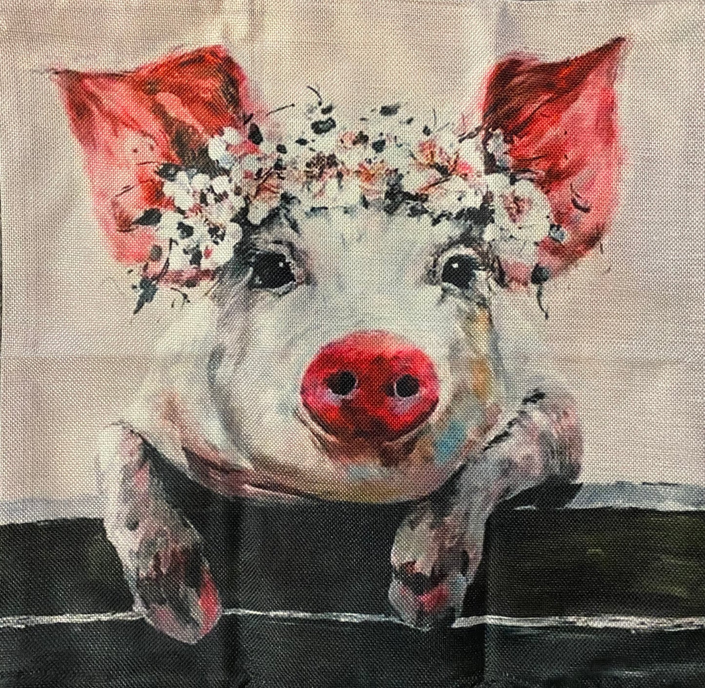 Pig pillow case