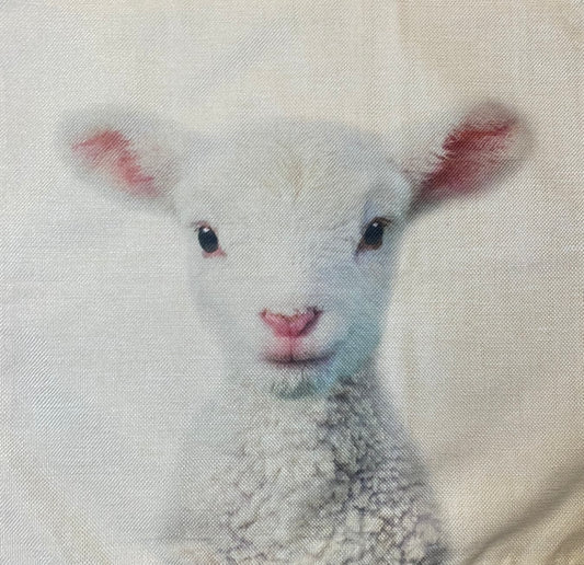 Sheep pillow case