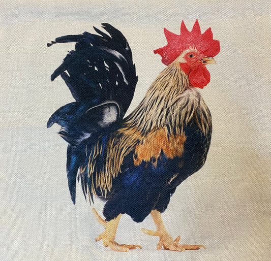 Chicken pillow case