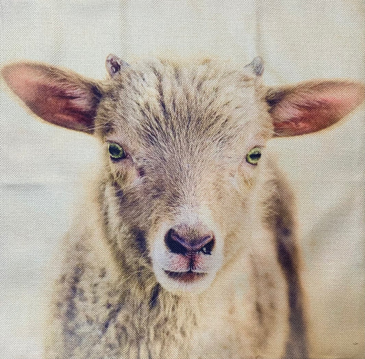 Sheep pillow case