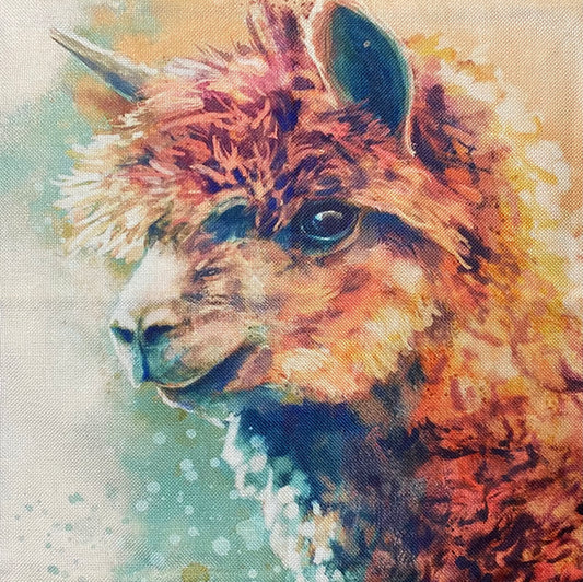 Alpaca pillow case