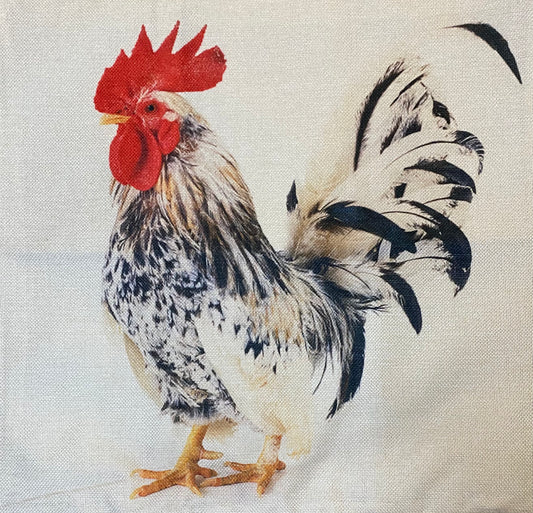 Chicken pillow case