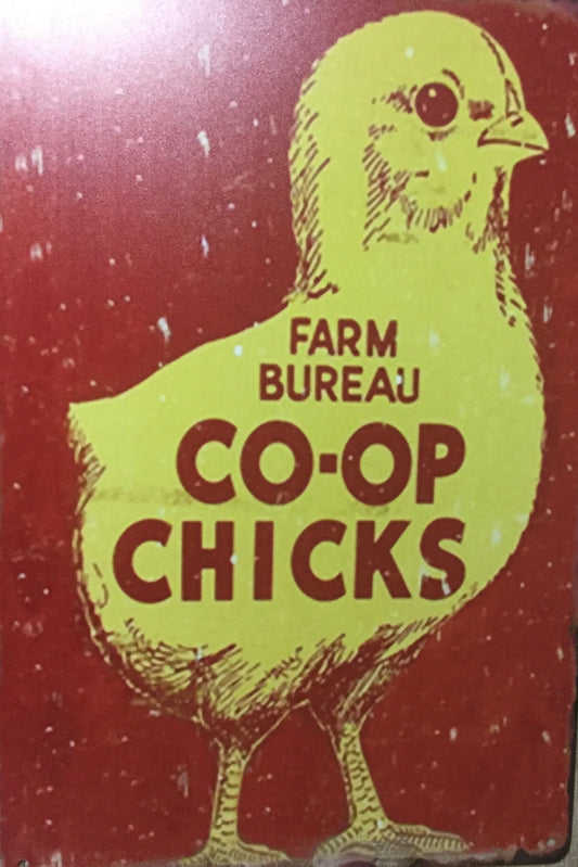 Co-op Chickens