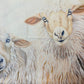 Sheep pillow case