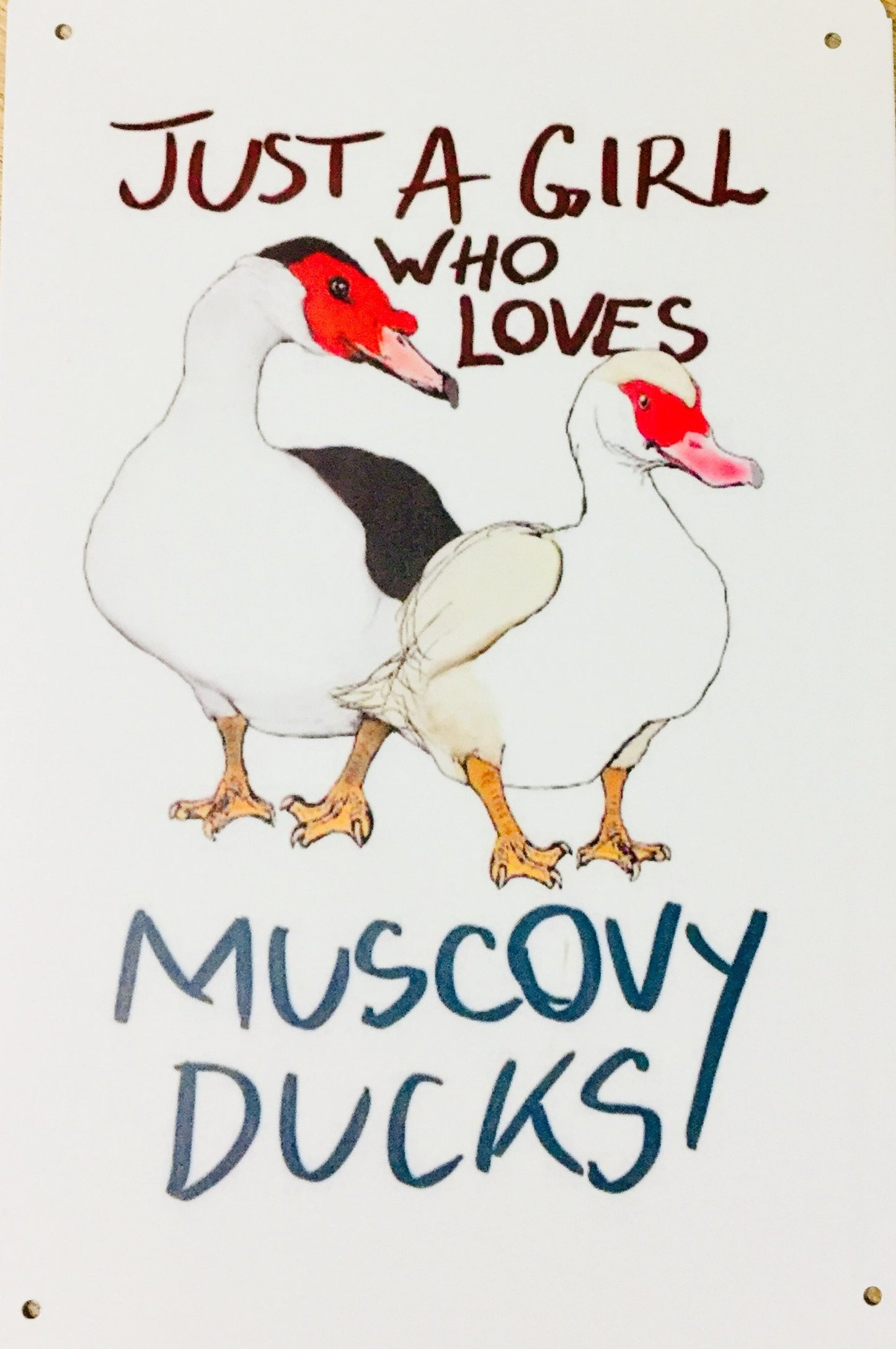 Just a girl who loves muscovy ducks