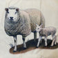 Sheep pillow case