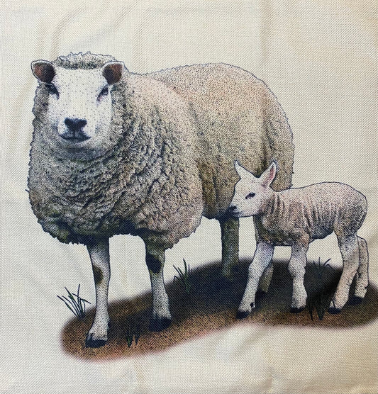 Sheep pillow case