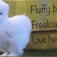 Fluffy butt freeloaders