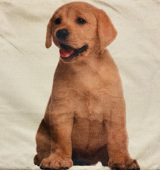 Dog pillow case