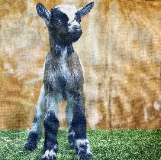 Goat pillow case