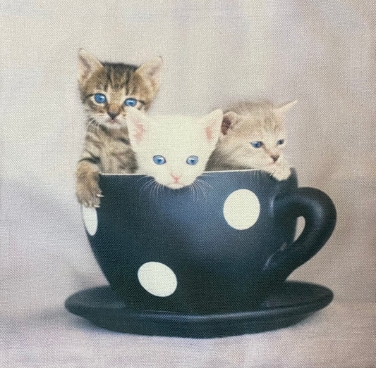 Kitten pillow case