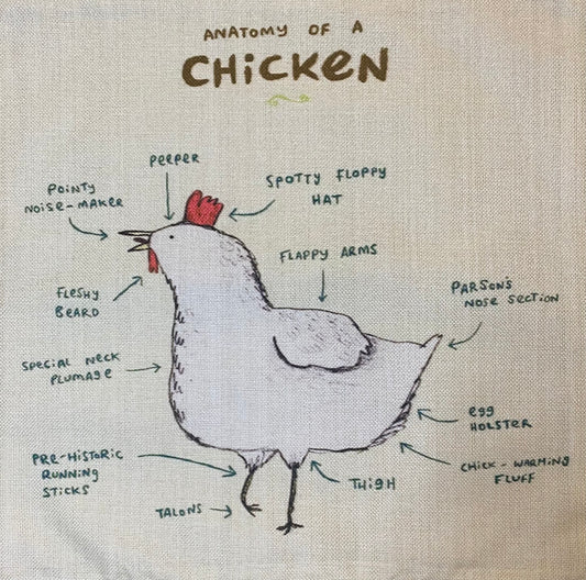 Chicken pillow case