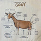 Goat pillow case