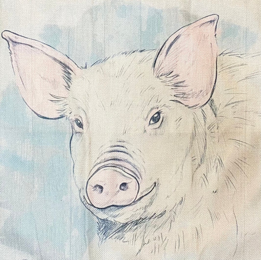 Pig pillow case