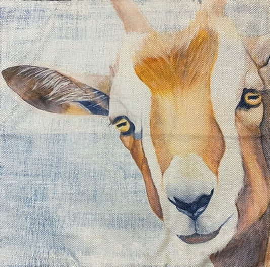 Goat pillow case