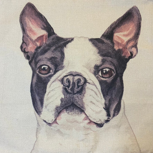 Dog pillow case