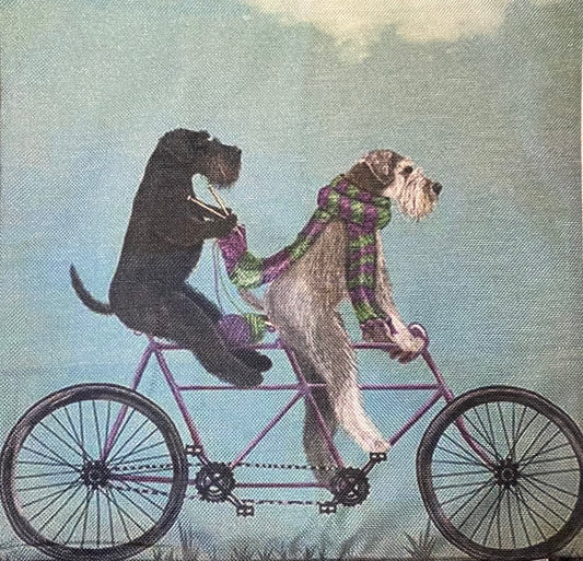 Dog pillow case