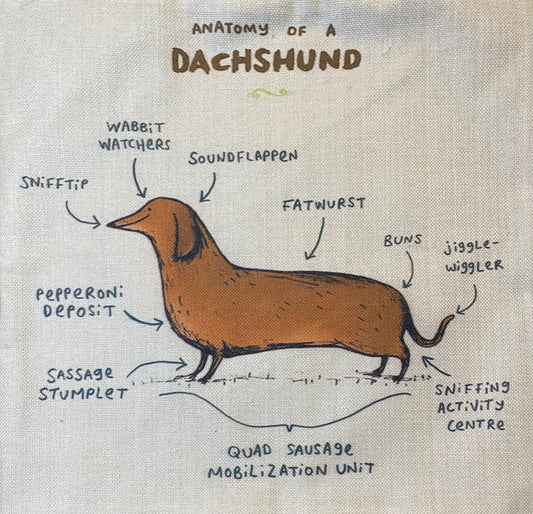 Dog pillow case