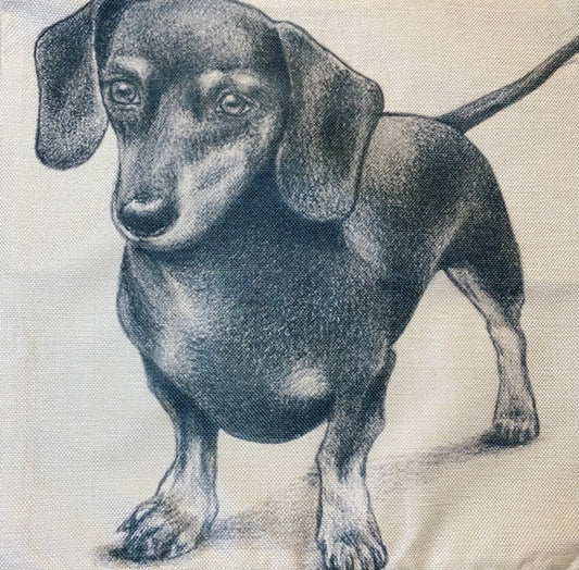 Dog pillow case