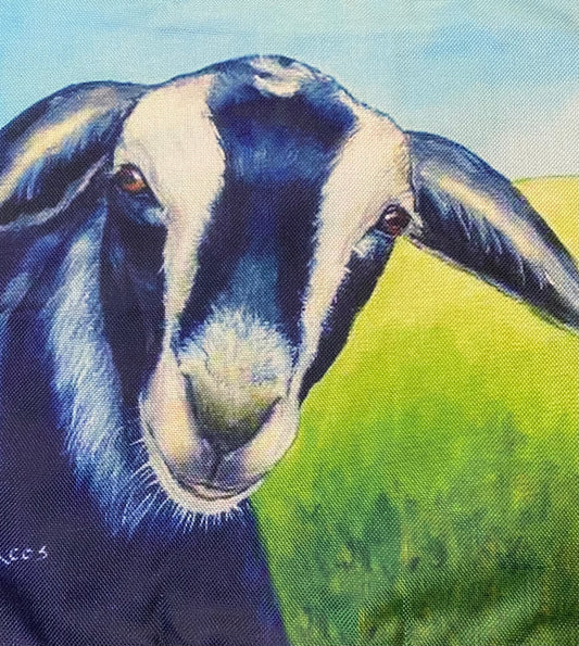 Goat pillow case