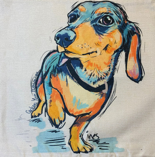 Dog pillow case