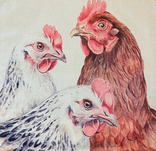 Chicken pillow case