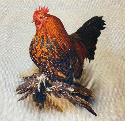 Chicken pillow case