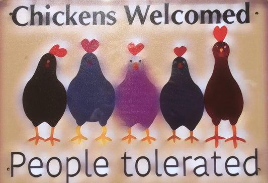 Chickens Welcomed People Tolerated