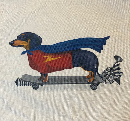 Dog pillow case