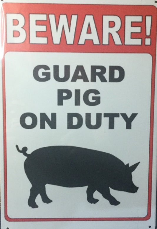 Guard pig on duty