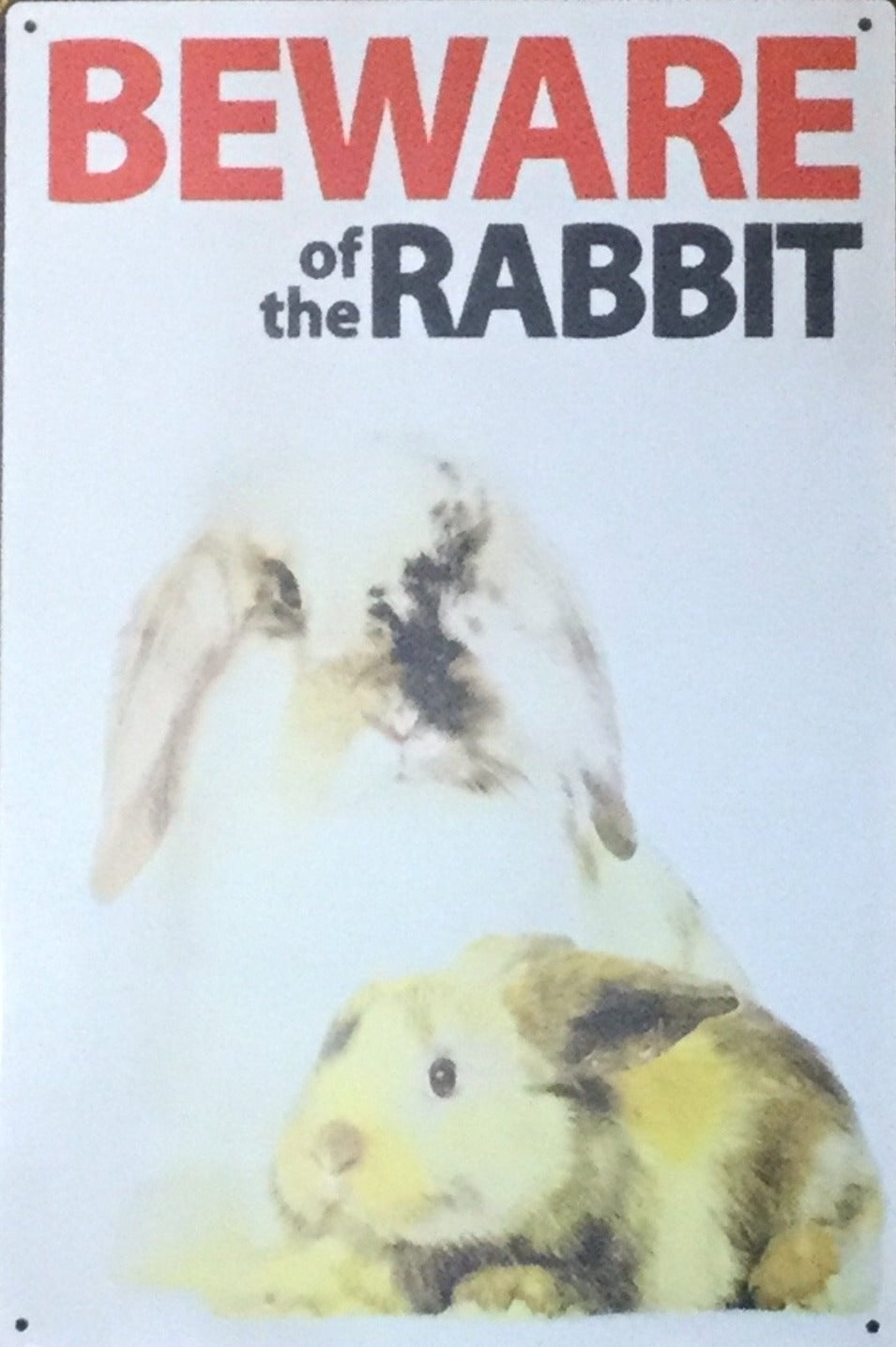 Beware of the rabbit